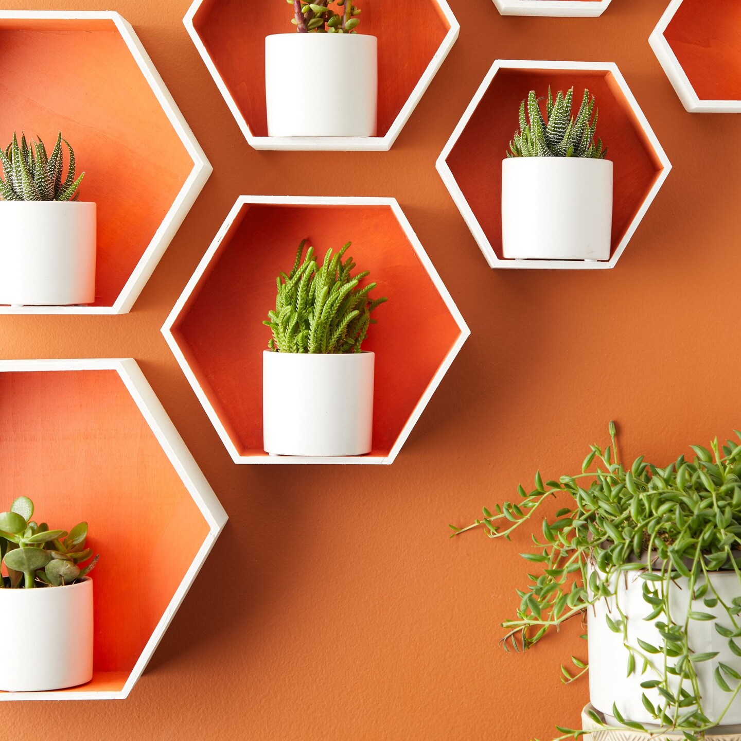 Set of 9 Unfinished Wooden Floating Hexagon Shelves for Wall (9 Sizes)