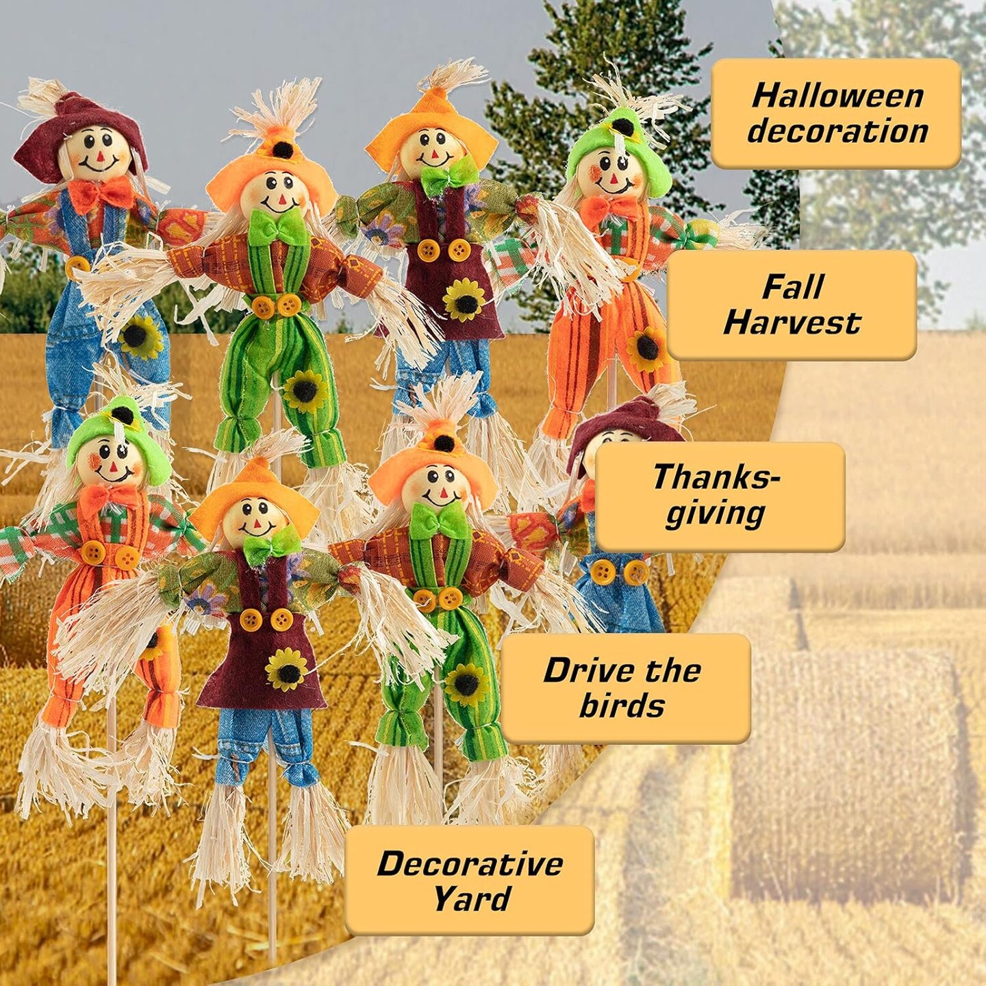Outdoor, Fall Harvest, Standing Scarecrow for Garden, Home, School, Yard, Porch(6)