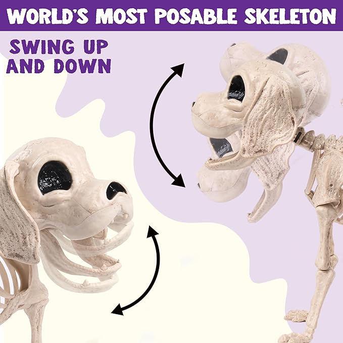 Posable Halloween Dog Skeleton Full Body Posable Joints Skeleton Puppy for Halloween Decoration, Graveyard Party Deco (9.8&#x201D; X 4.7&#x201D; X 12.6&#x201D;)