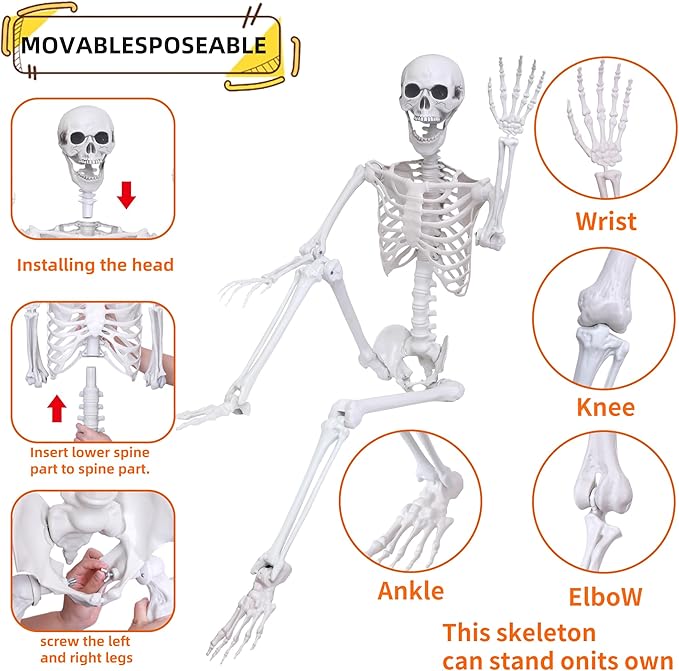 2 Pack 5.4Ft Halloween Skeletons Posable Skeletons Life Size Full Body Bones with Movable Joints for Halloween Decorations White