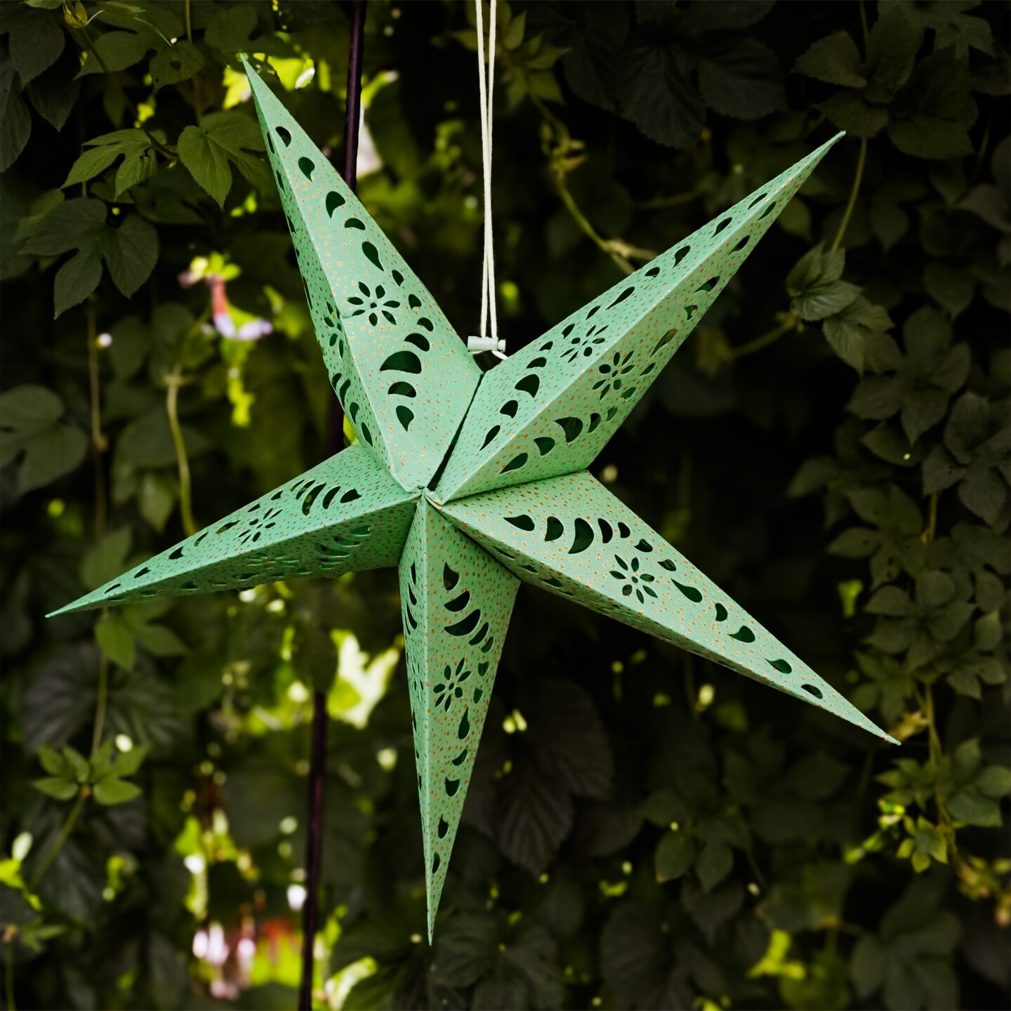 In the Breeze 9178 — Green Paper Star Lantern — Hanging Party and Home Décor with Painted Gold Accents — Handmade, Dyed Paper