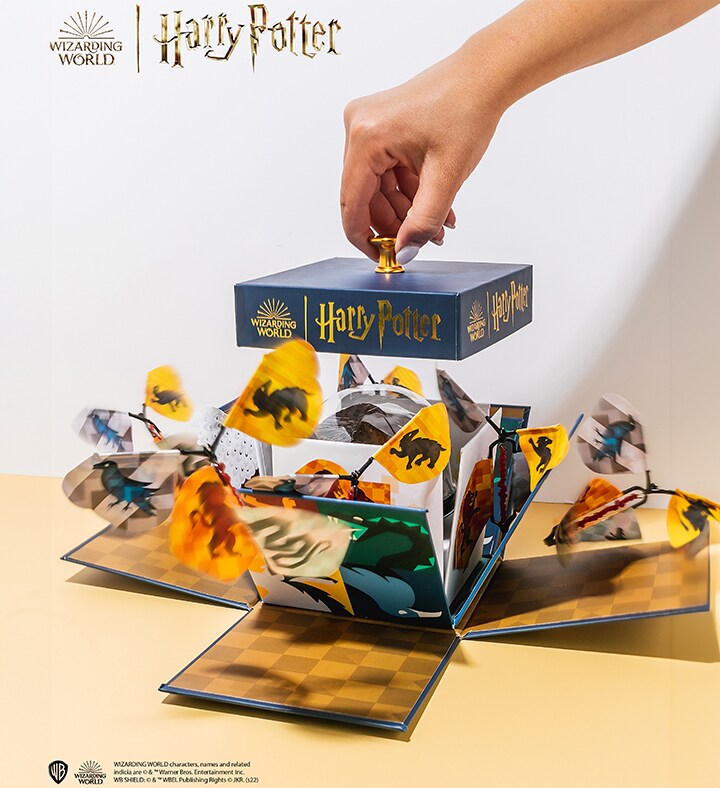 Harry Potter Hogwarts Explosion Box - Cake Treat Included