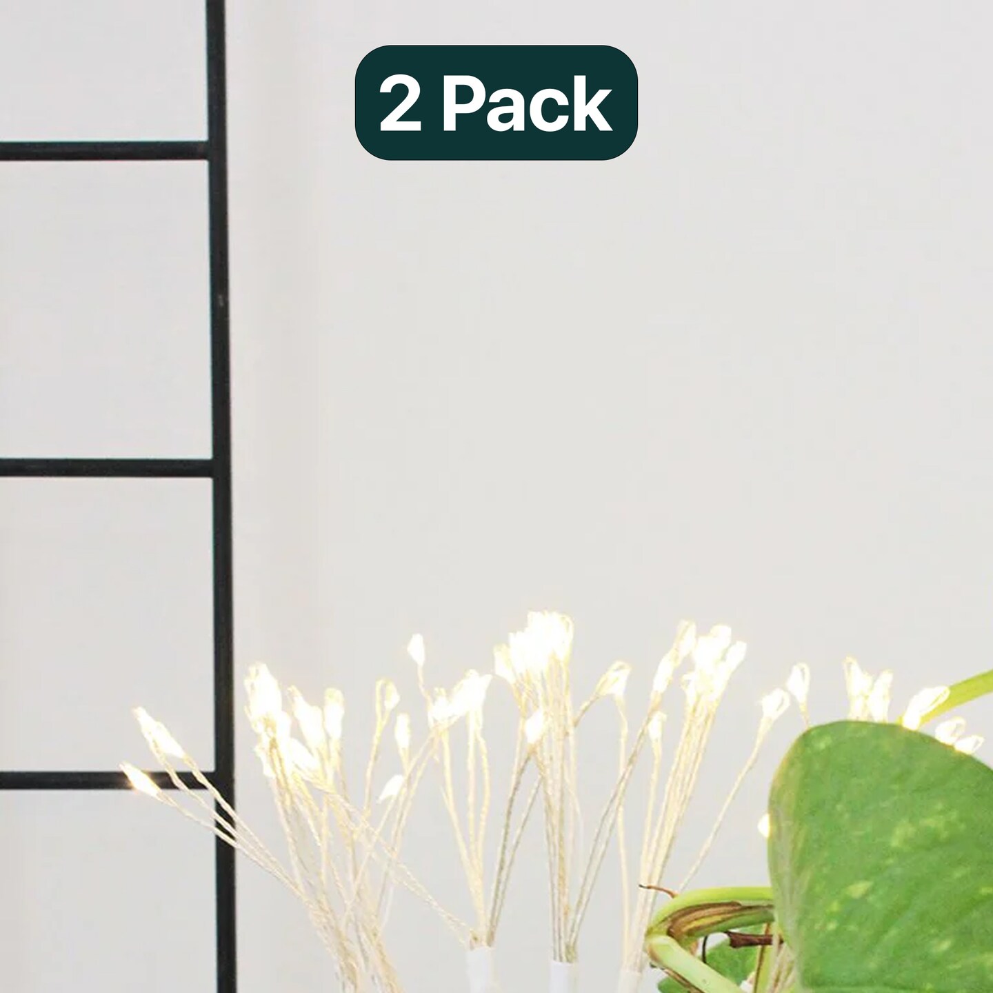 Whimsical Dandelion LED Light – 80 Warm LEDs on Bendable Wire, Battery Powered
