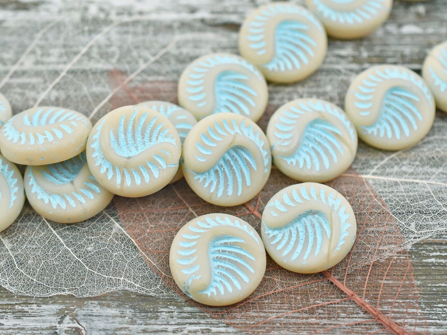 *6* 19mm Turquoise Washed Matte Eggshell Opal Fossil Coin Beads