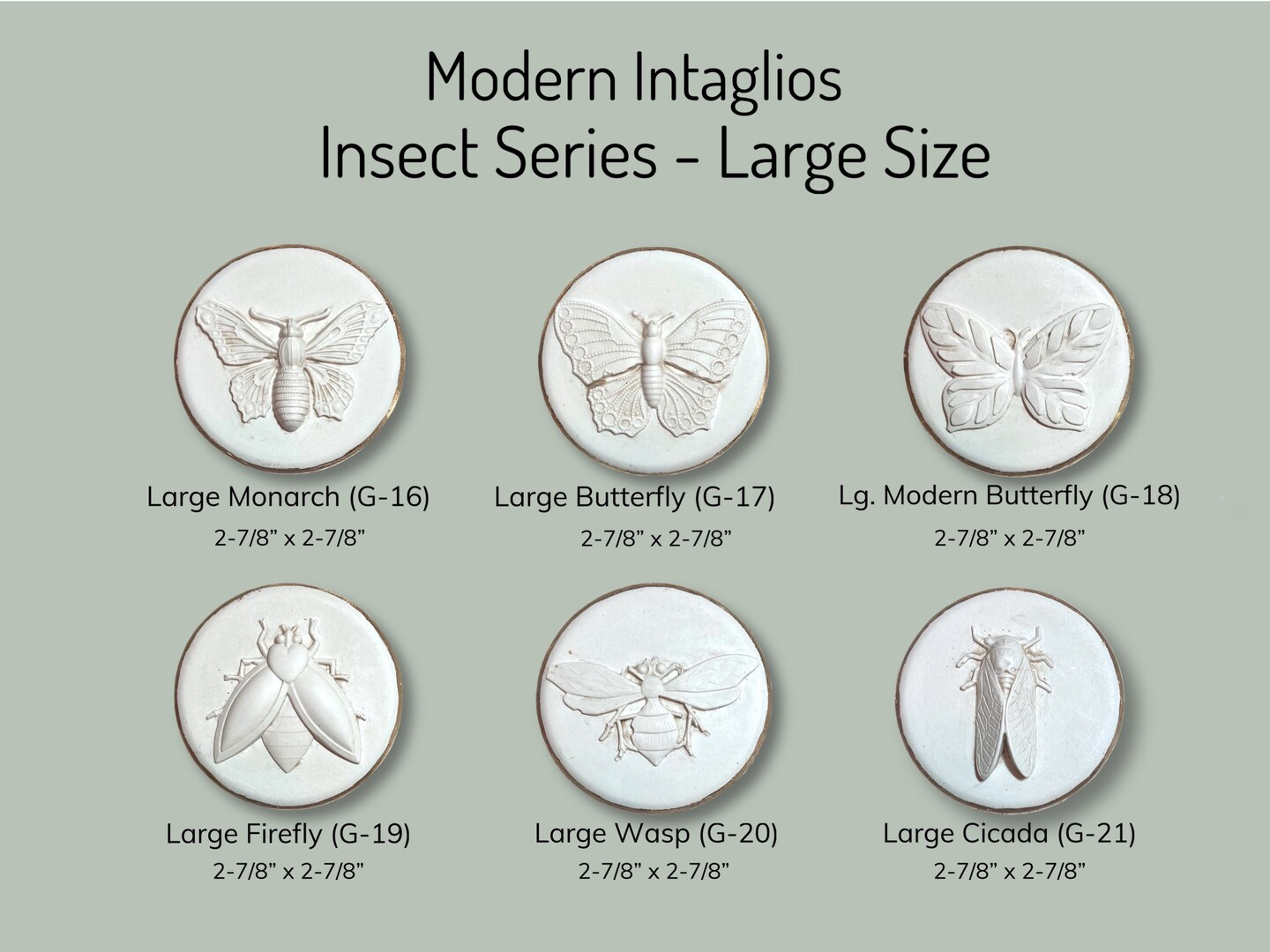 Giant Cicada Collection Real Framed - Insect Taxidermy Display