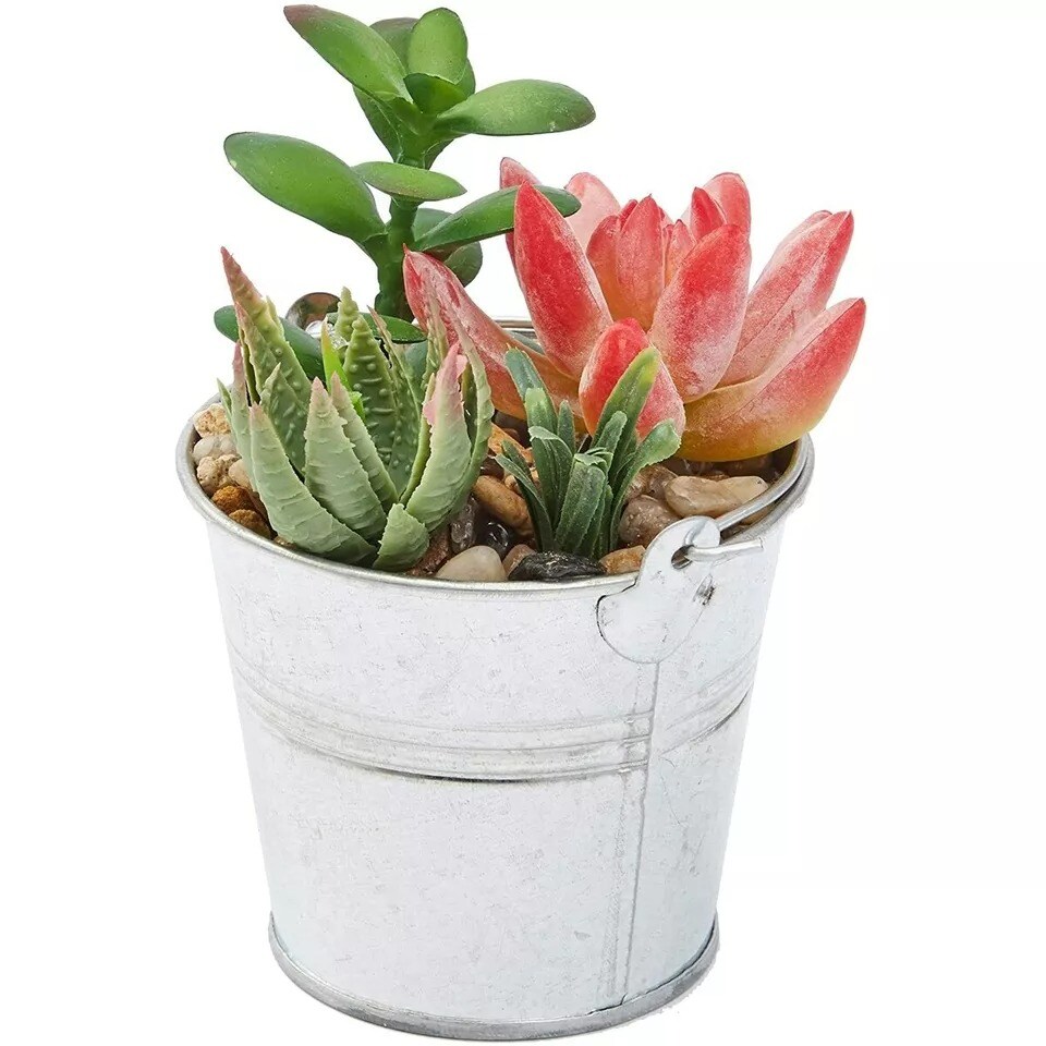 4x Artificial Succulents, Colorful Cactus Plants with Iron Bucket, 6.5 inch