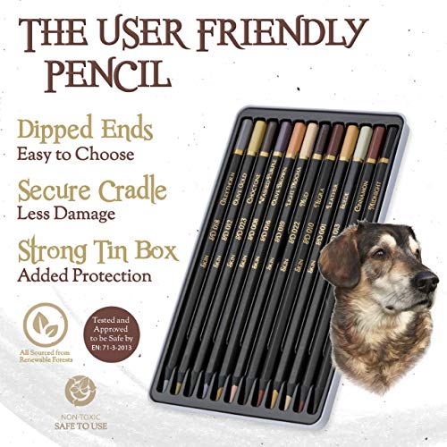 Skin Tone Colored Pencils for Adult Coloring - 12 Color Pencils for Portraits and Skintone Artists - A Complete Color Range - Now With Light Fast Ratings.