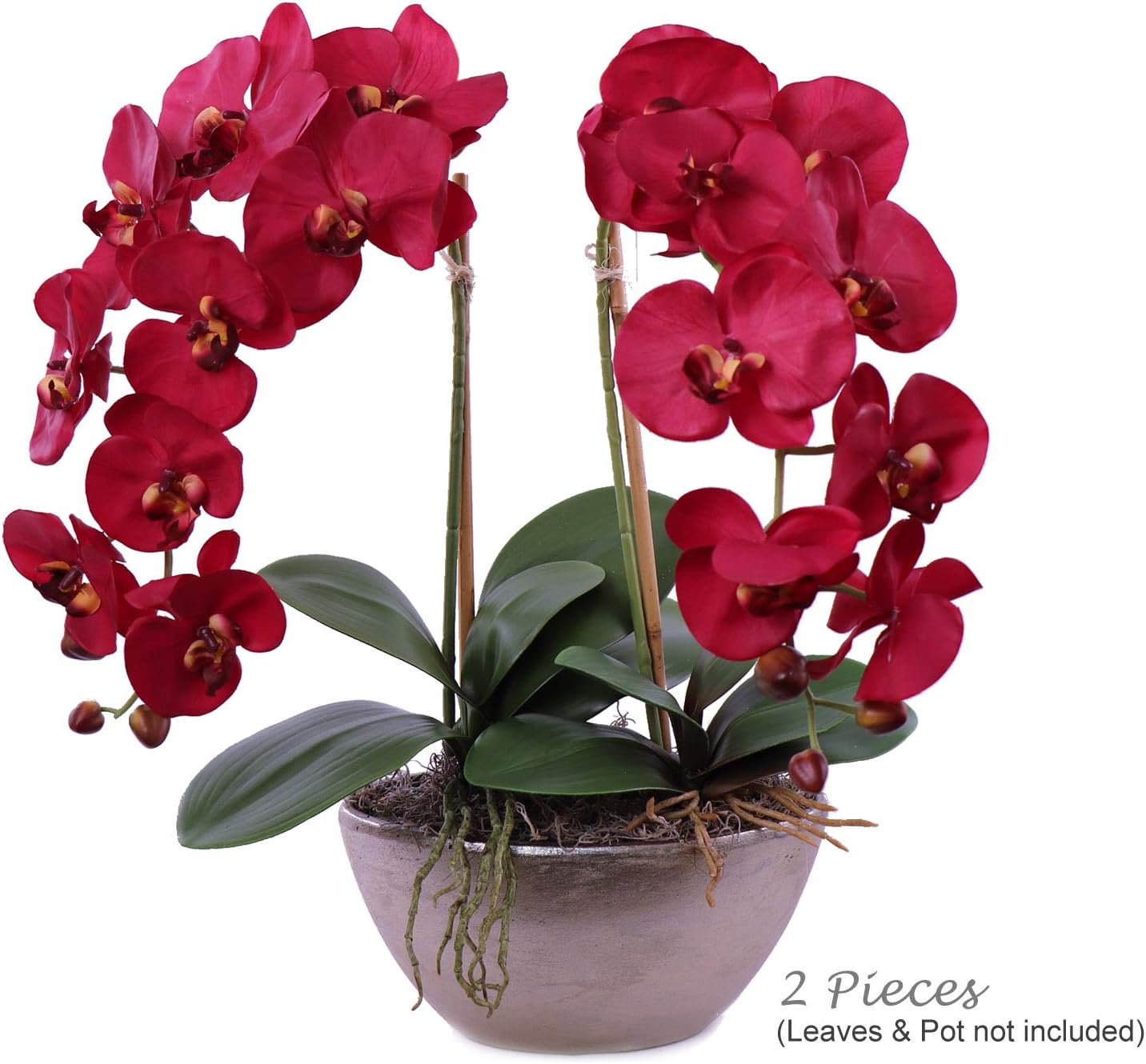 Burgundy 33.5-Inch Phalaenopsis Orchid Stems - With 9 Realistic Silk Flowers for Arrangements, Parties, Home & Office Decor, 2-Piece Set in a Bag, Floral Home by Artificial Flowers