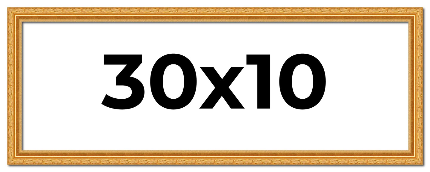 30x10 Solid Wood Antique Picture Frame with UV-Resistant Acrylic & Acid-Free Backing, Available in 4 Finishes: Bronze, Gold, Silver, and Gold with Black