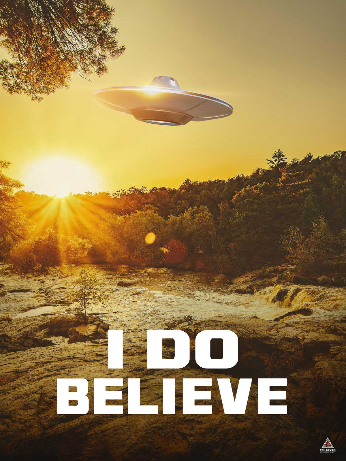 I Do Believe Poster UFO Alien Truth is Here Wall Art Print, 18"x24", Unframed