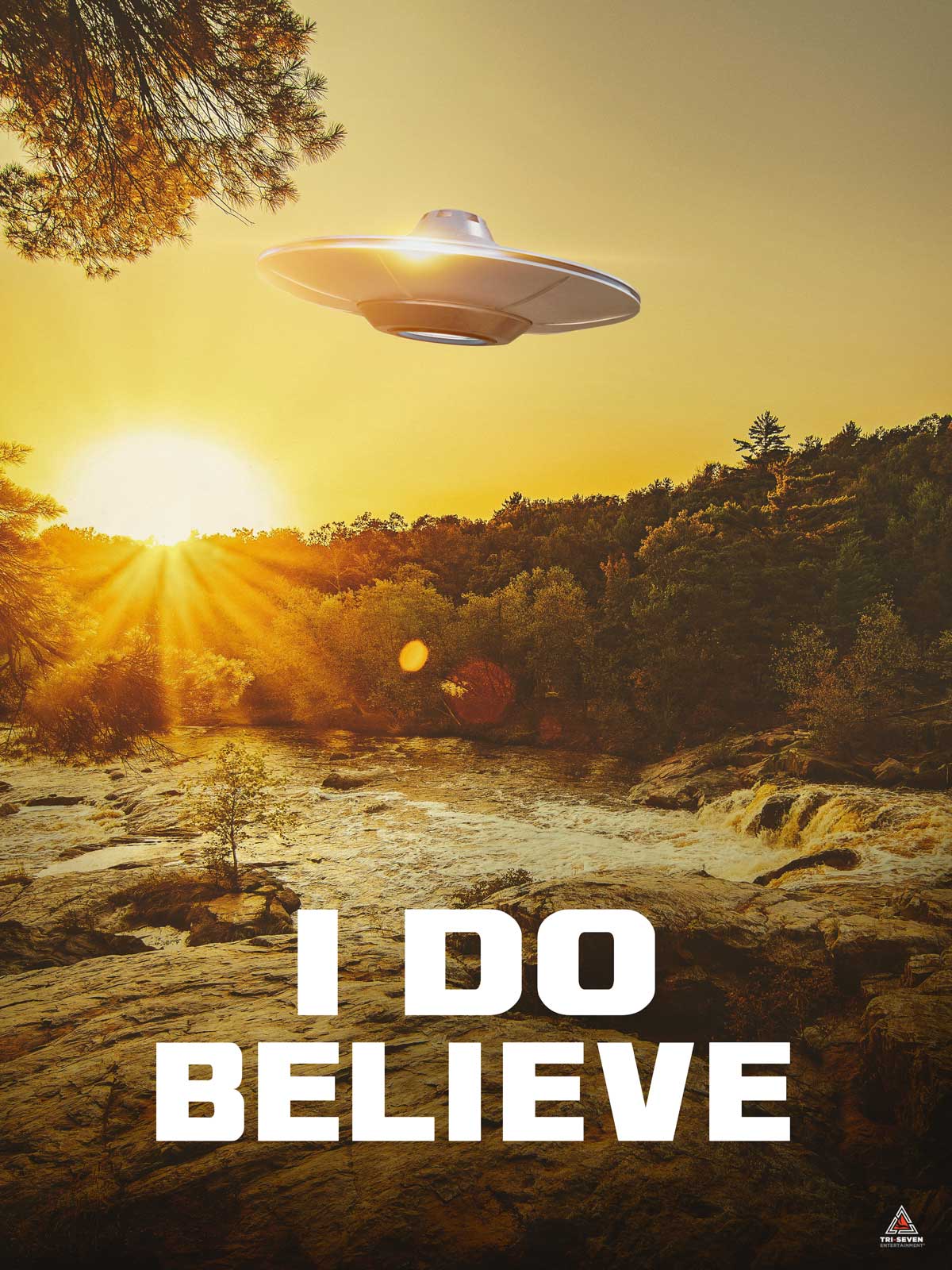 I Do Believe Poster UFO Alien Truth is Here Wall Art Print, 18&#x22;x24&#x22;, Unframed