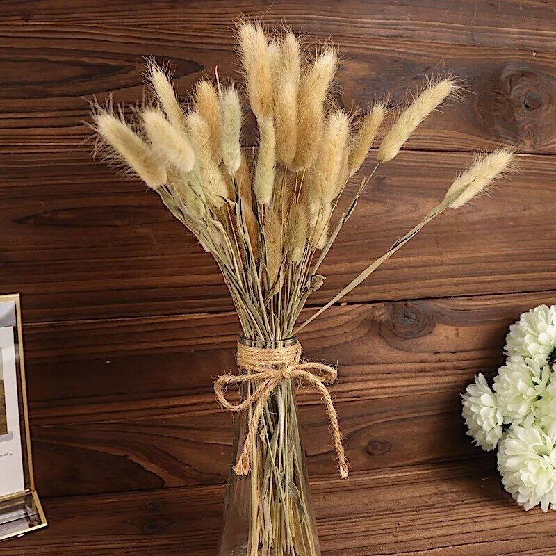 50 STEMS 15 in Rabbit Tail Dried Pampas Grass Party Events Decorations Supplies