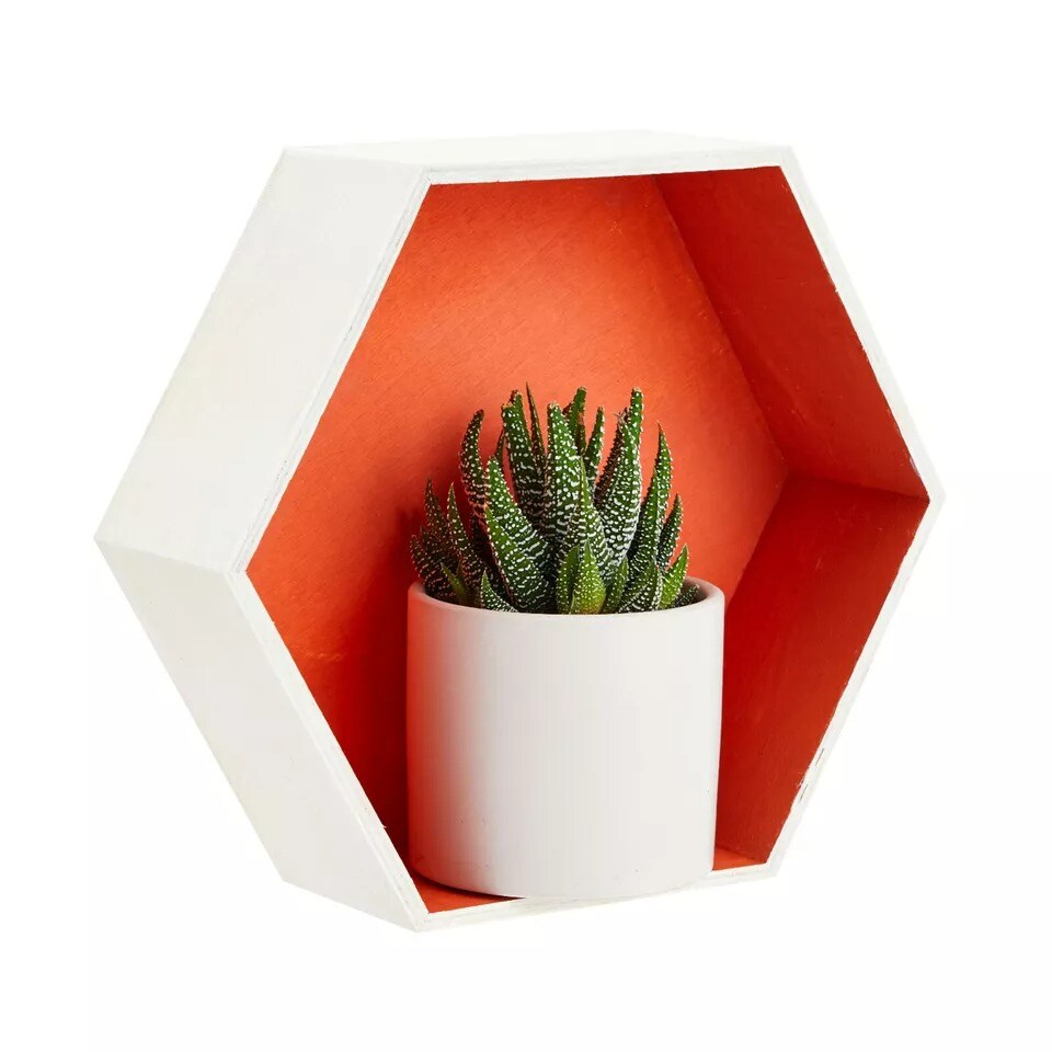 9 Pack Unfinished Hexagon Floating Shelves for Wall Mount Display DIY Home Decor