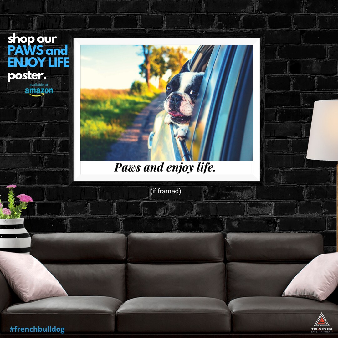 Paws and Enjoy Life Dog Poster Bulldog Wall Print, 24&#x22;x18&#x22;, Unframed