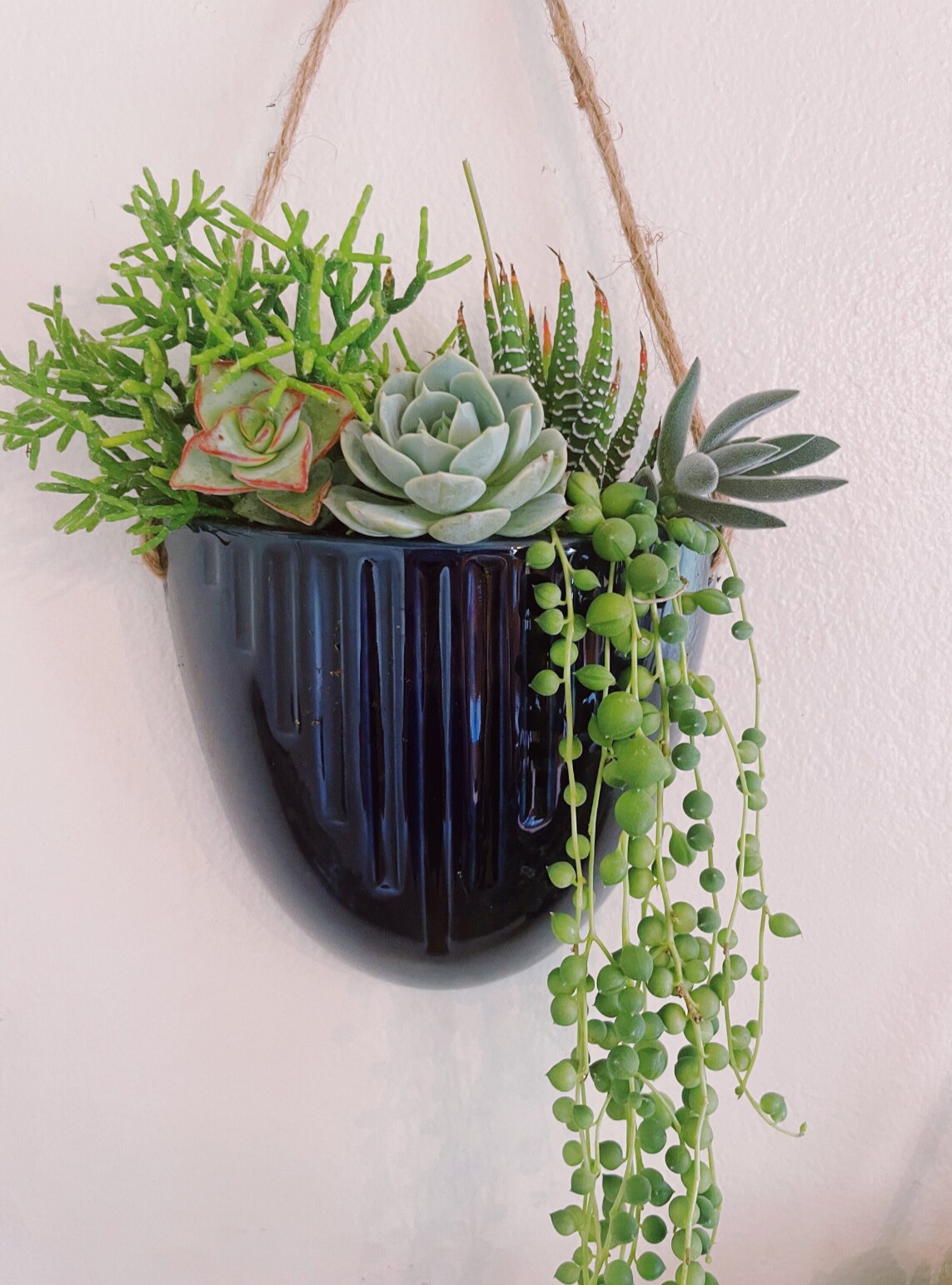 small hanging planter Hanging Planter – Stylish, Durable, Eco-Friendly, Modern Design, Indoor & Outdoor Use, Multiple Sizes & Colors, Lightweight, Easy to Install, Perfect main image 0