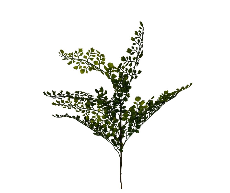 Vibrant and Versatile: 22-Inch Artificial Maidenhair Fern Spray-FG5654