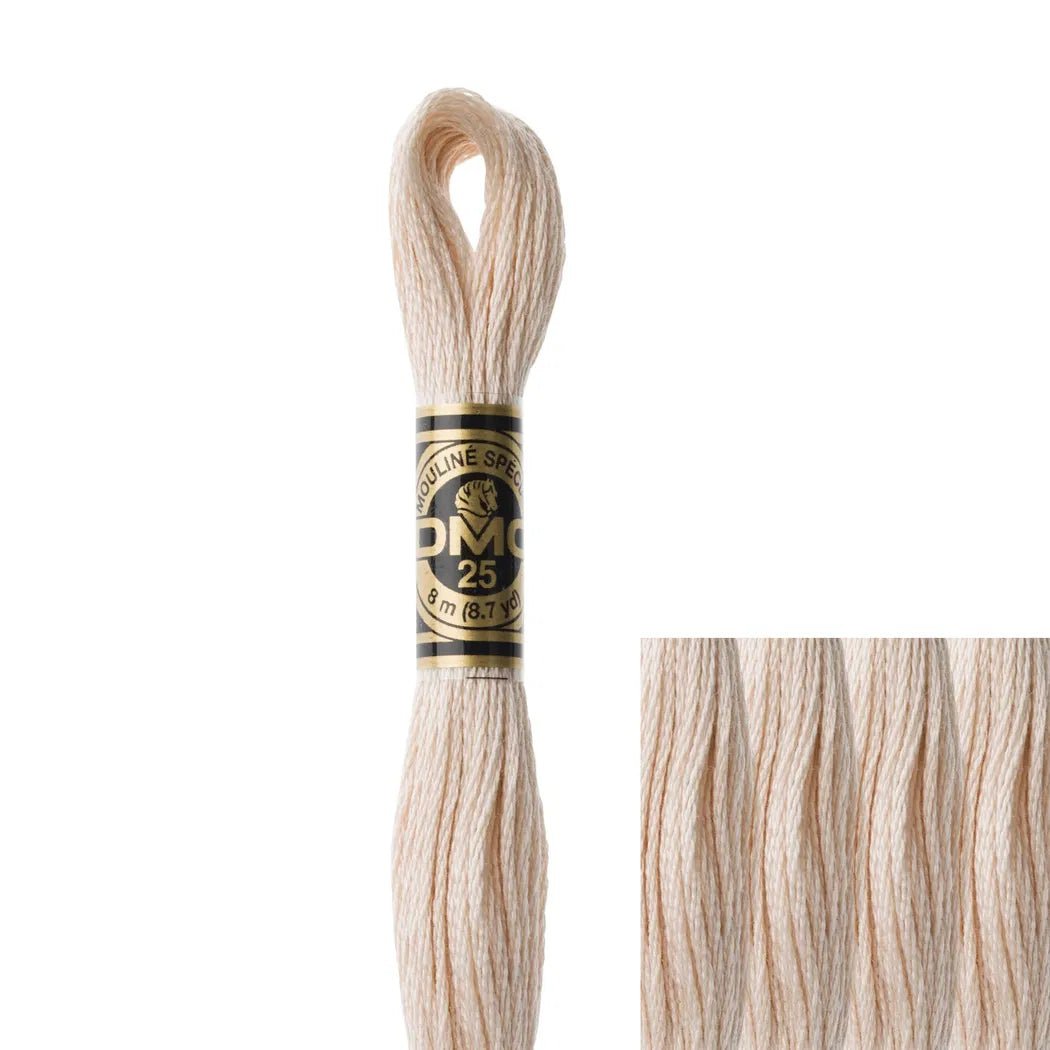 DMC Embroidery Floss, 6-Strand - Beige Brown Ultra Very Light #543