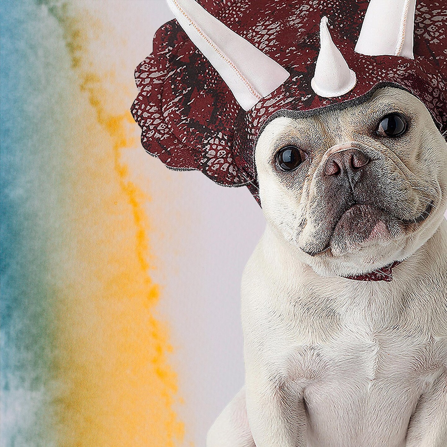 Triceratops Pet Costume with Headpiece and Horns for Dogs