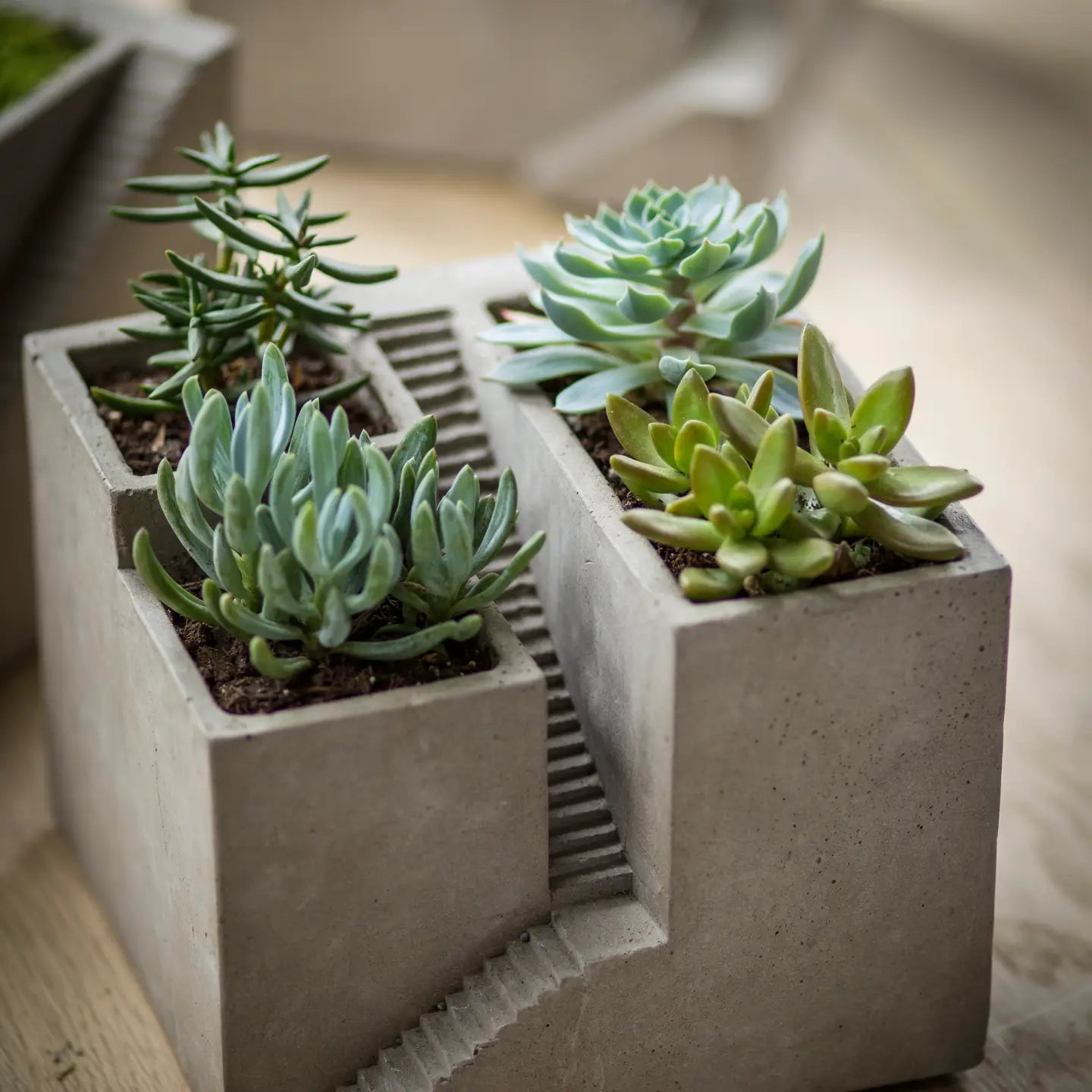 Cement Cube Planter Set Square Concrete Planters for Indoor Plants 6.75"