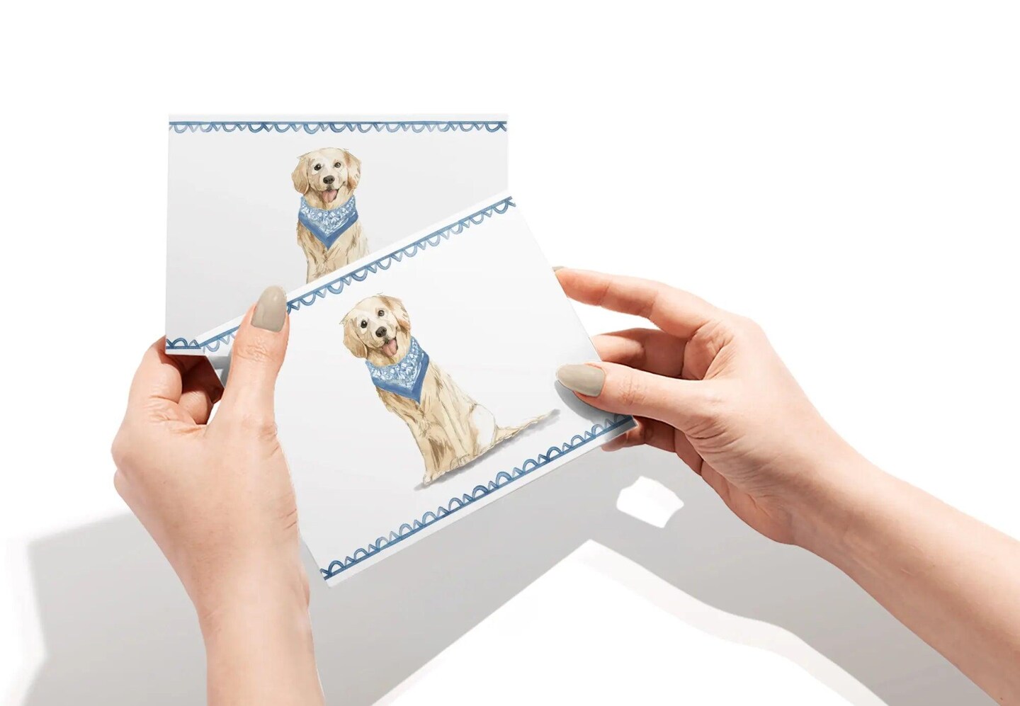 Twigs Paper - Golden Retriever Greeting Cards 12-Count - Dog Cards with Envelopes - Dog Lover Blank Note Cards - Eco-Friendly Recycled Paper - Made in USA (5.5 x 4.25)