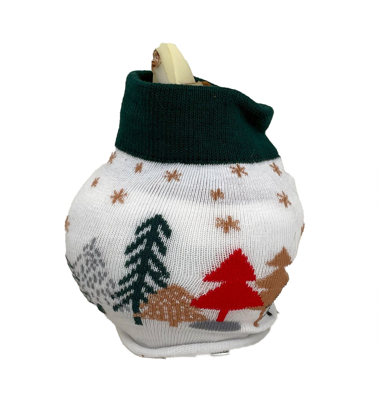 Holiday Trees Sweater Wax Amaryllis Bulb - Blooms Without Soil/Water