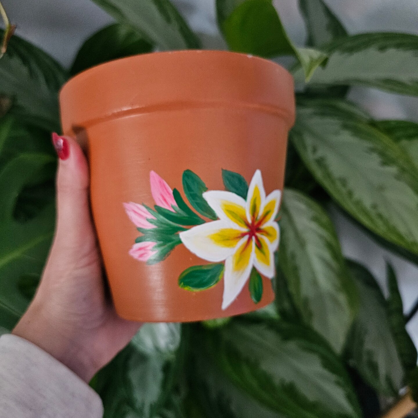 plastic liners for plants Planter Liner Material - HDPE Plastic Roll