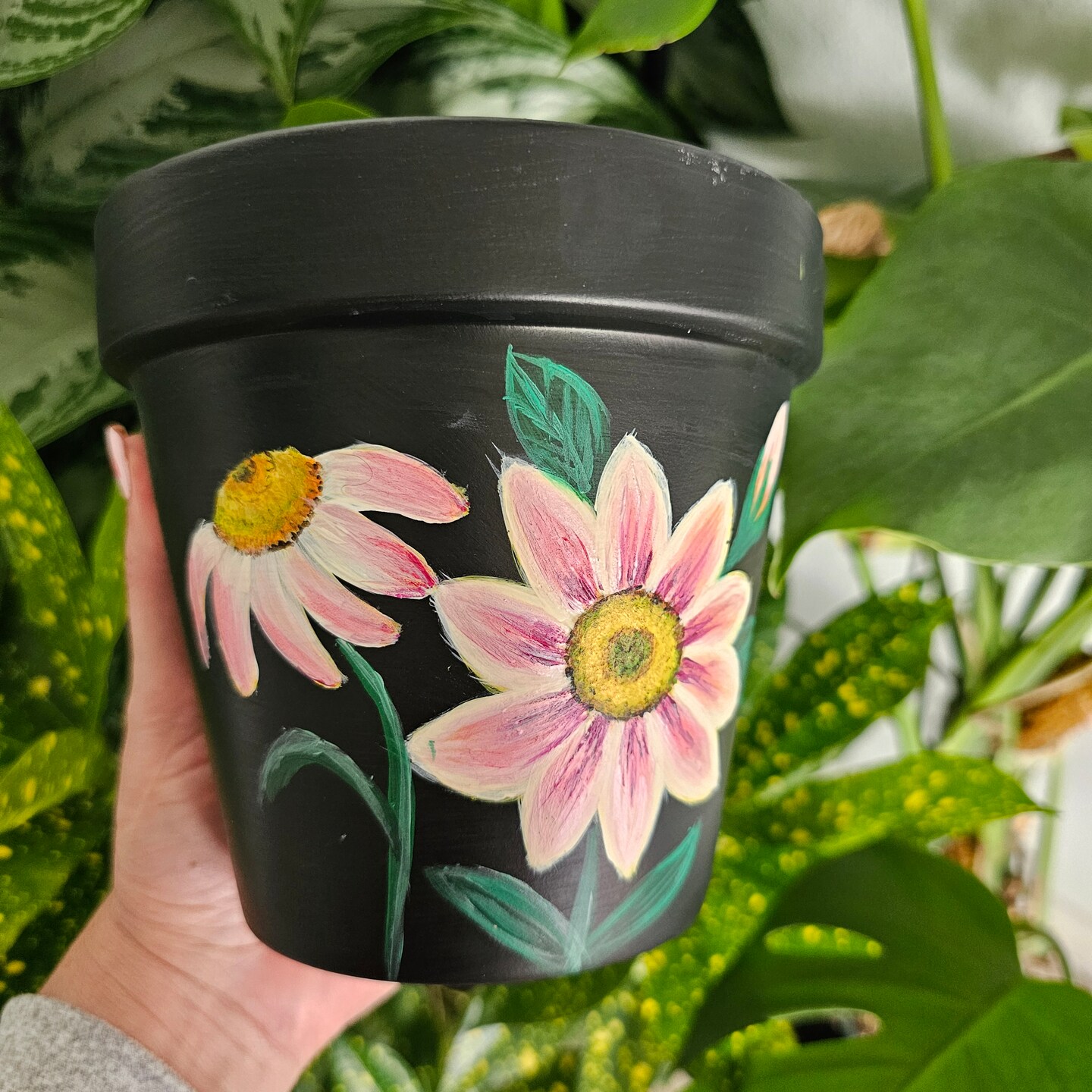 Pink Daisy Flower hand painted on a black terra cotta Pot. 6 inches terra  cotta flower pots for plants | MakerPlace by Michaels, image size:1080x1080