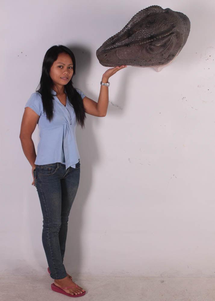 Allosaurus Dinosaur Head Life Size Statue
