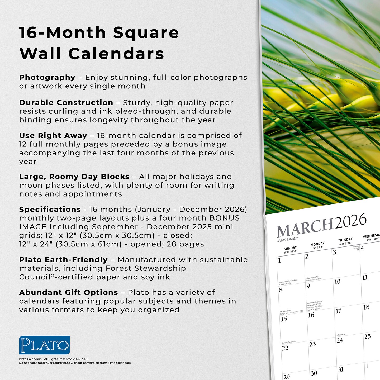 Simplicity | 2026 12 x 24 Inch (Hanging) Monthly Square Wall Calendar | Foil Stamped Cover