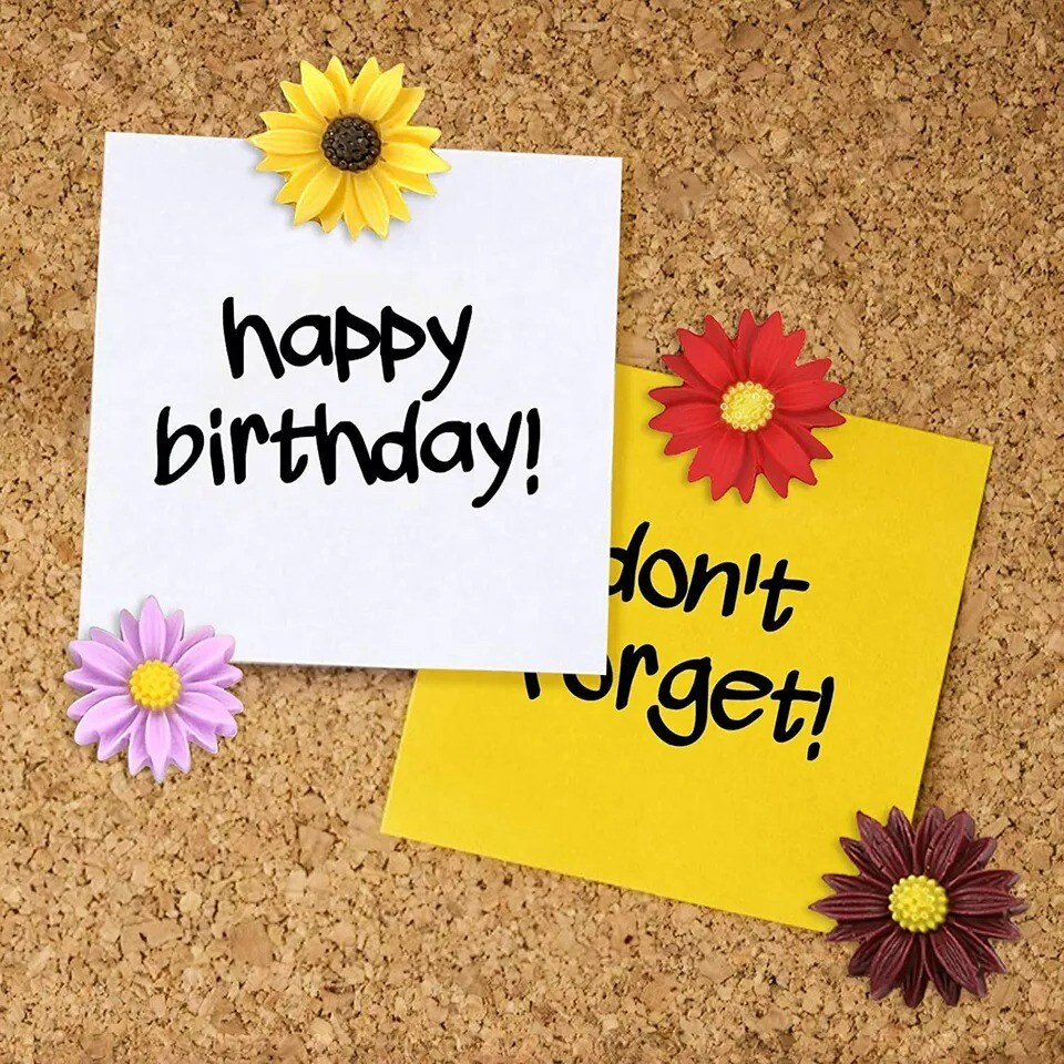 40Pc Push Pin Flowers Thumbtacks Decorative Daisy for Corkboard Map Photo Wall