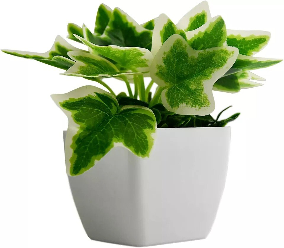 Artificial Plants Pack of 3 Scindapsus aureus Sweet Potato Leaves (Plastic Pot)