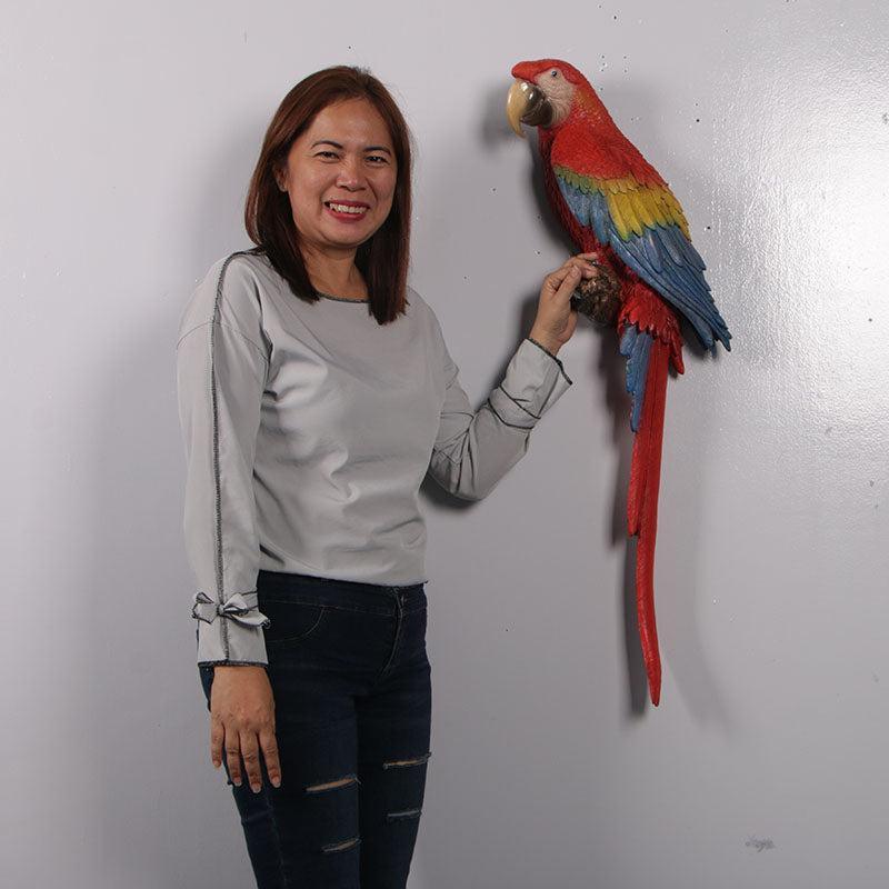 Scarlet Macaw Parrot Life Size Statue