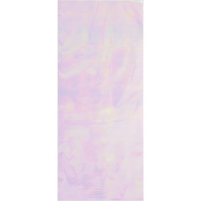 Iridescent Party Favor Bags (10/Pkg)
