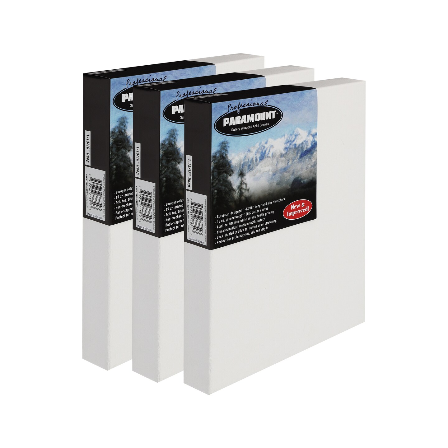 Paramount Professional Gallery Wrapped Canvases for Painting, Pack of 3 Heavy-Duty Stretched Canvas, Unbleached 100% Cotton, 1-13/16 Deep, Acid-Free, Triple-Primed, Medium-Tooth Surface
