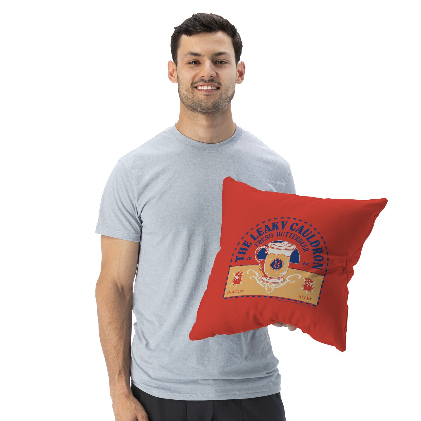 Warner Brothers Harry Potter Throw Pillow 18X18 Inches