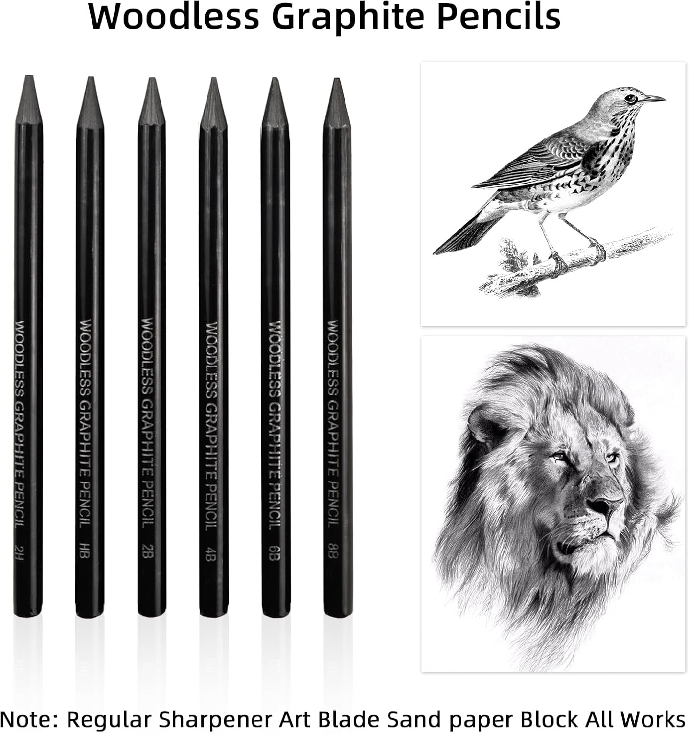 Woodless Graphite Drawing Pencils Set,6 Black Lead Pre-Sharpened 2H HB, 2B, 4B, 6B 8B Degrees Coloring Pencils, 50PK Blank Watercolor Card for Sketching,Writing,Shading