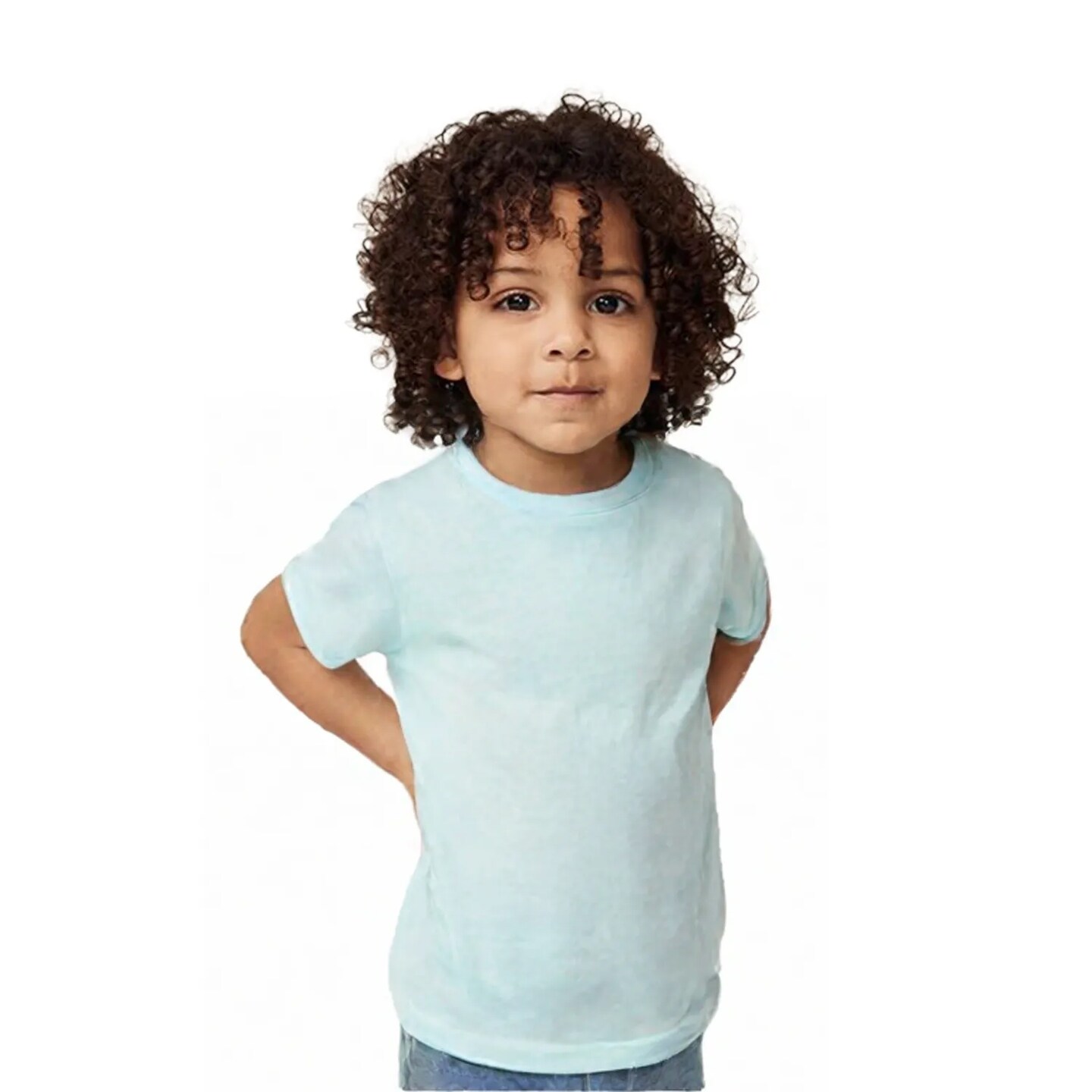 BELLA + CANVAS Triblend Airlume Combed And Ring-Spun Cotton Crewneck Tee For Custom Printing.