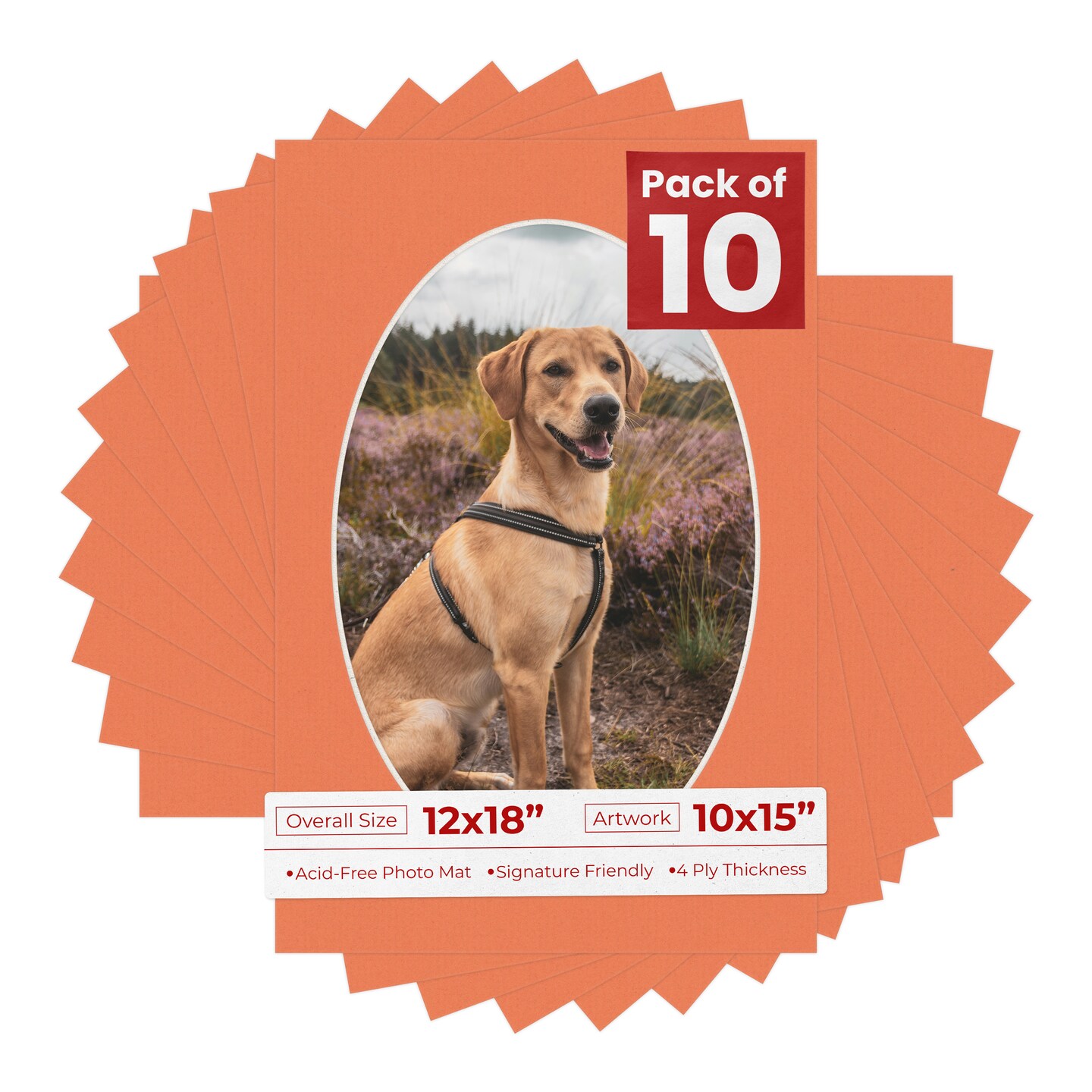 Carnelian Orange Mat Board for 12x18 Frames - Oval Opening for 10x15 Photos