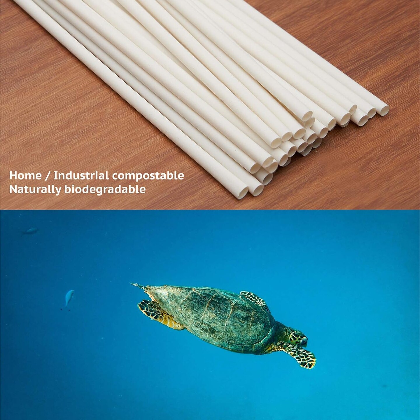 Biodegradable Straws made of Natural Plant | 200 PCS 7.8'' Compostable Eco-Friendly Drinking Straws Disposable | Durable for Hot & Cold Drinks