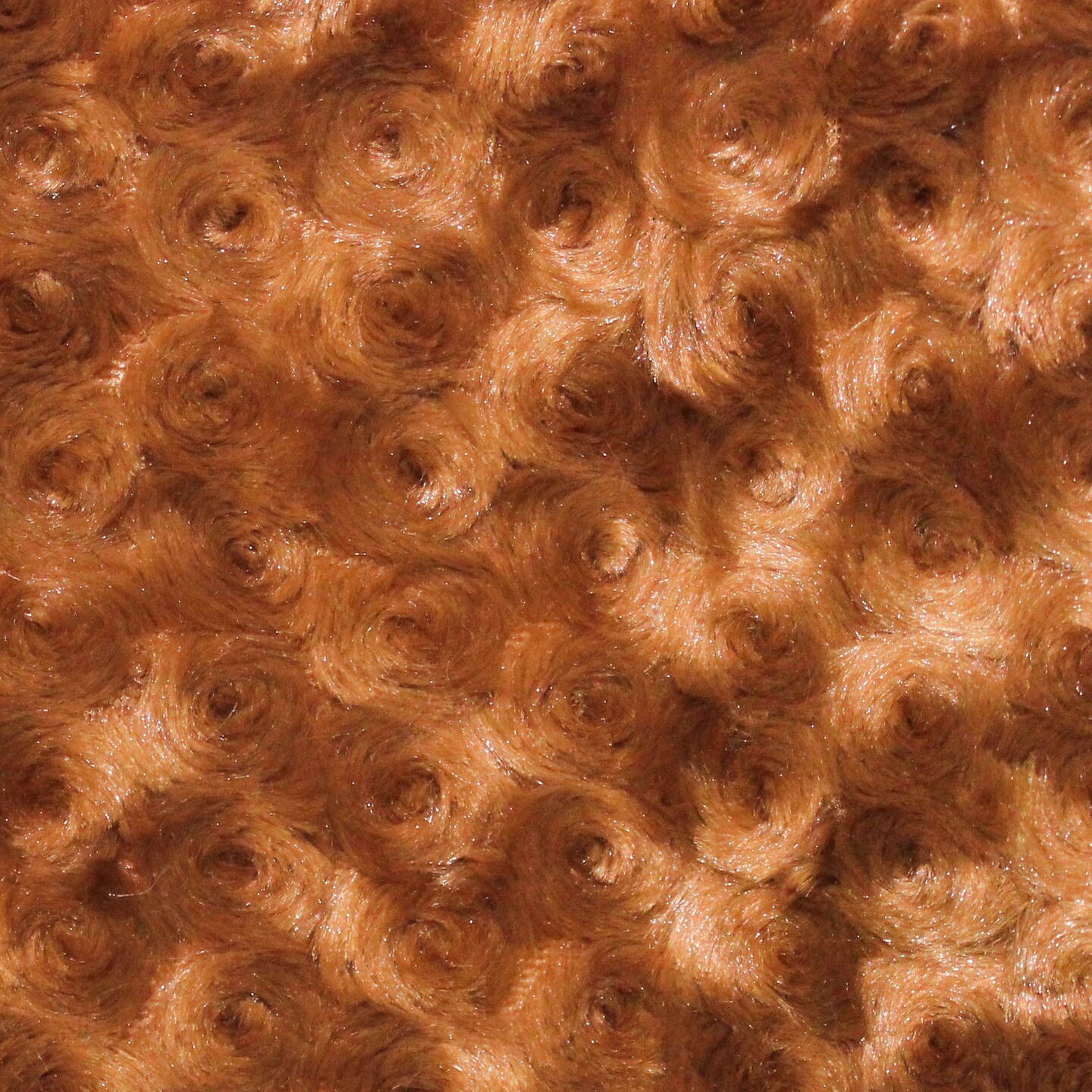 1 Yard Almond Minky Rose Swirl Fabric 58/60" Width Rosebud Embossed