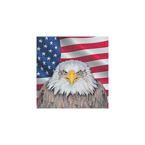 Bald eagle USA framed art home wall decor 19x19