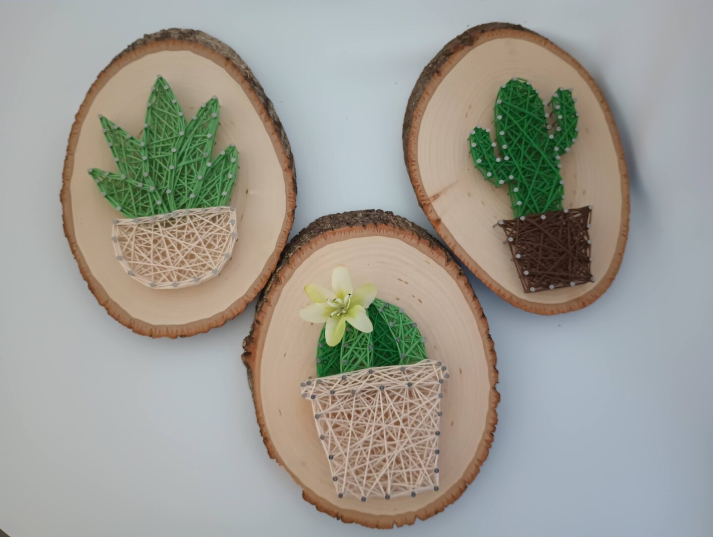 String Art Cactus with Flower image 2