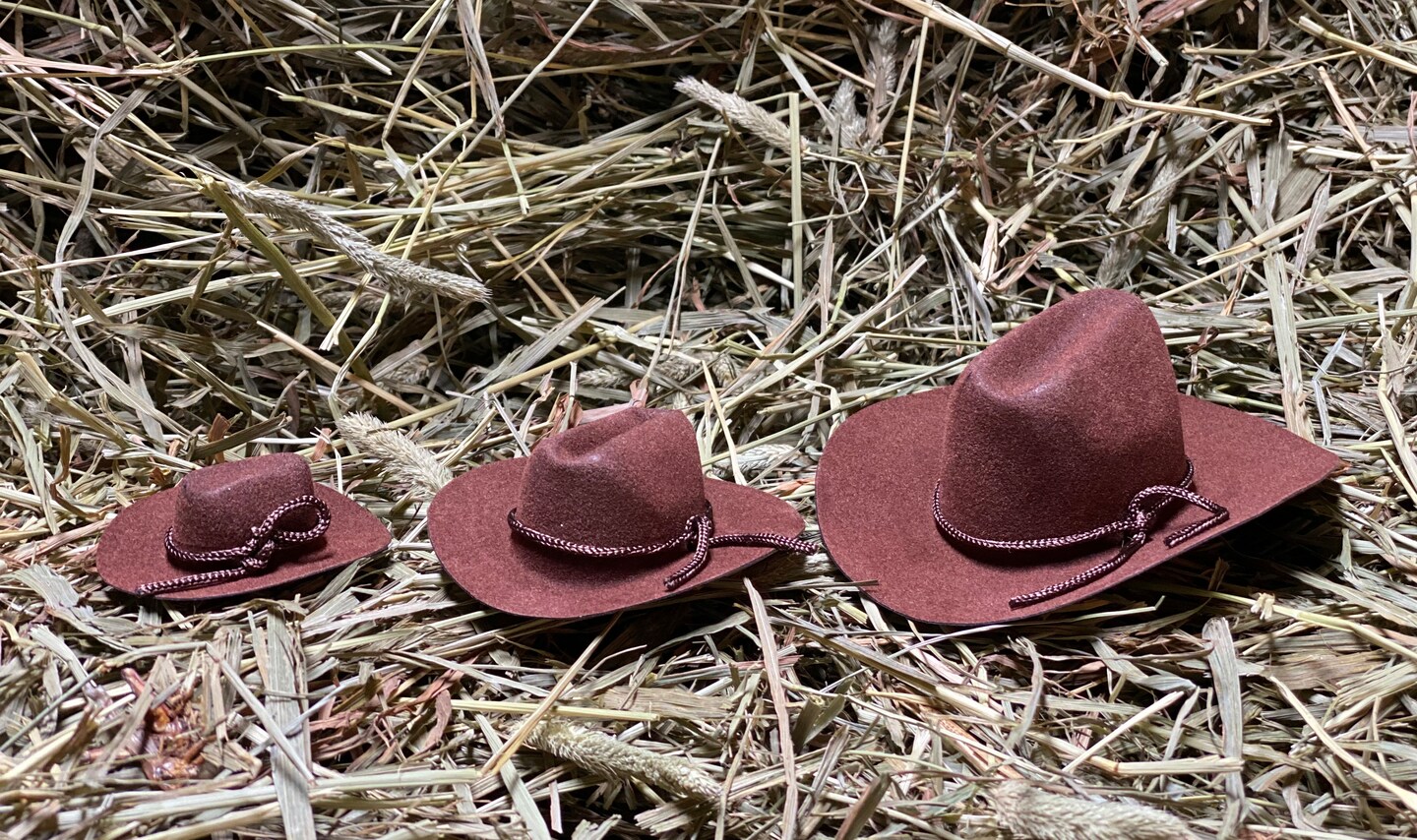 12pcs Mini Cowboy Hat Western Wedding Favors Decoration 2