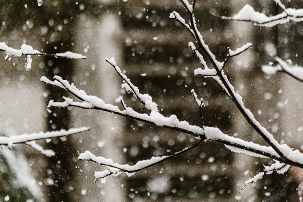 Snow Fall - Premium Fragrance Oil