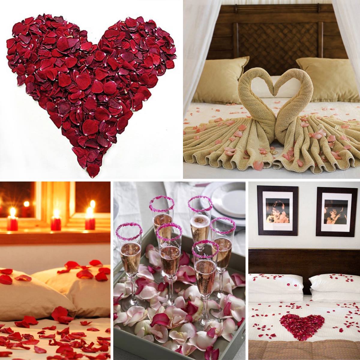 Red Eco-friendly Real Preserved Rose Petals 30 cups product 2