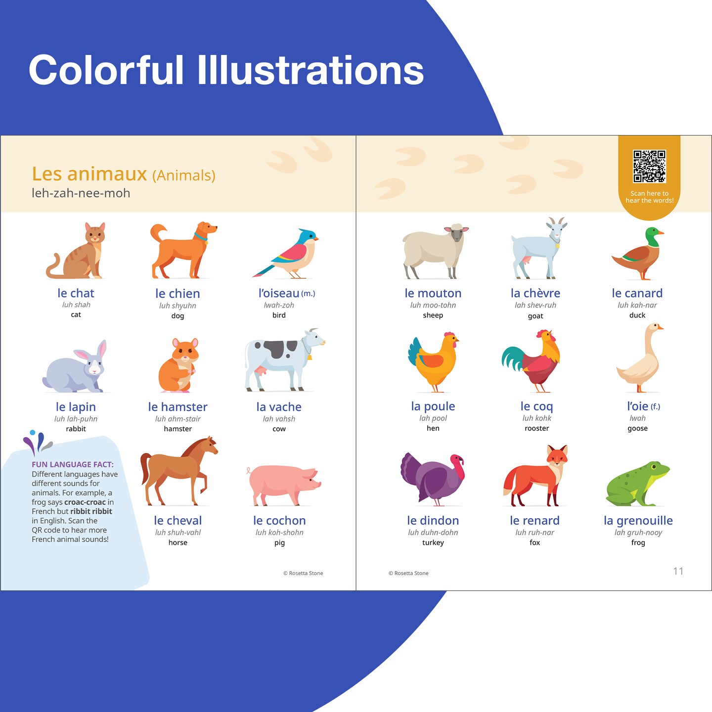 Rosetta Stone French Picture Dictionary, French Dictionary to Learn French Vocabulary and Phrases, Dictionary for Kids and Adults, French English Dictionary
