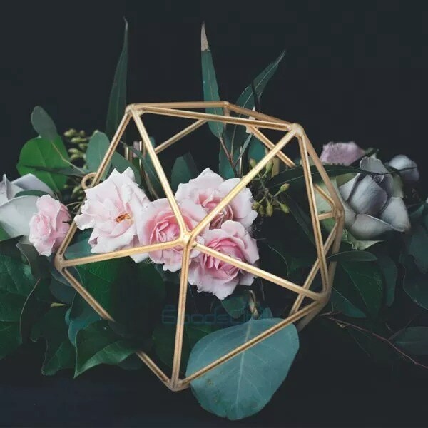 2Pack Metal Geometric Hanging Air Plant Holder Rack Air Pineapple Iron Hanging