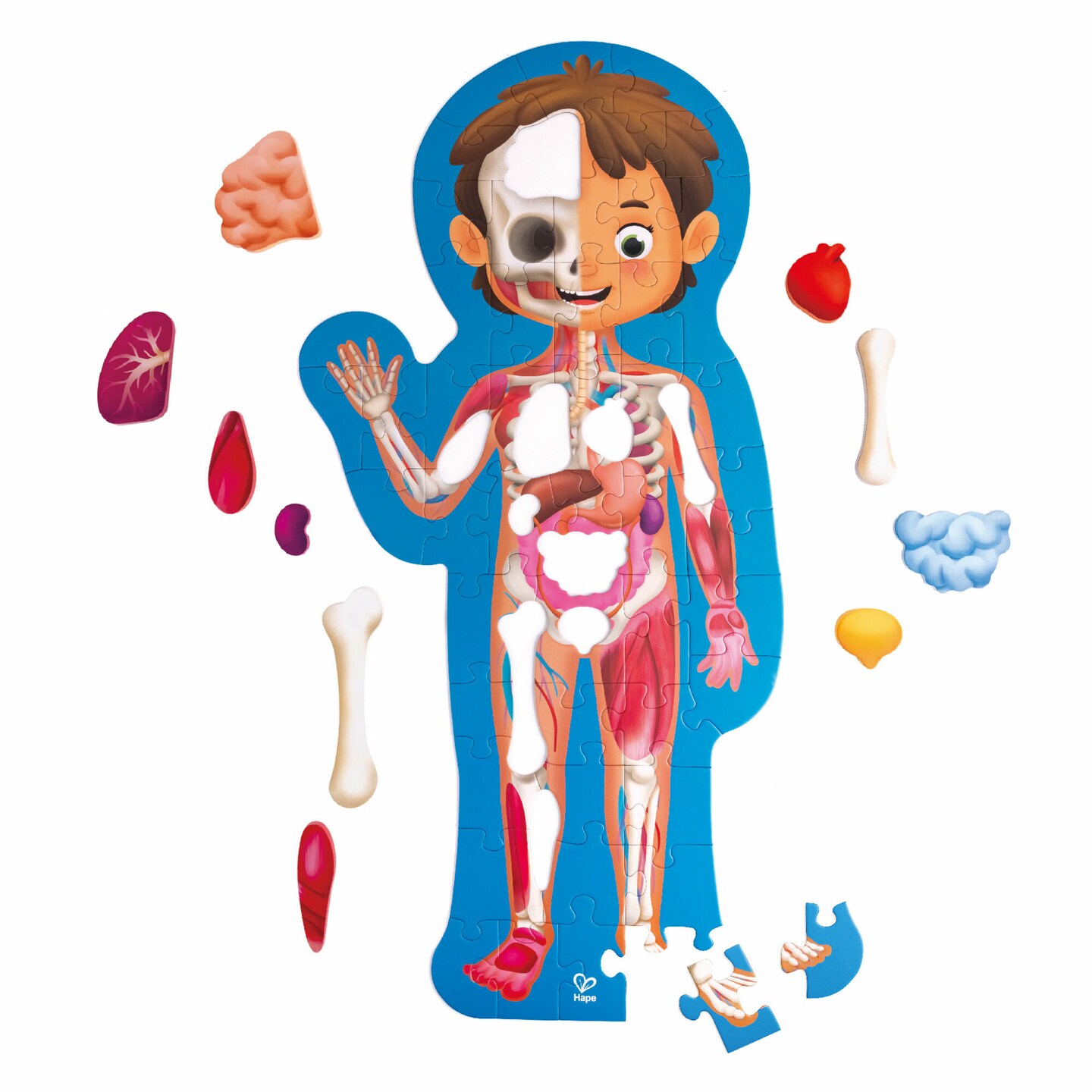 Hape Human Body Jigsaw Puzzle, 60 Oversized Pieces