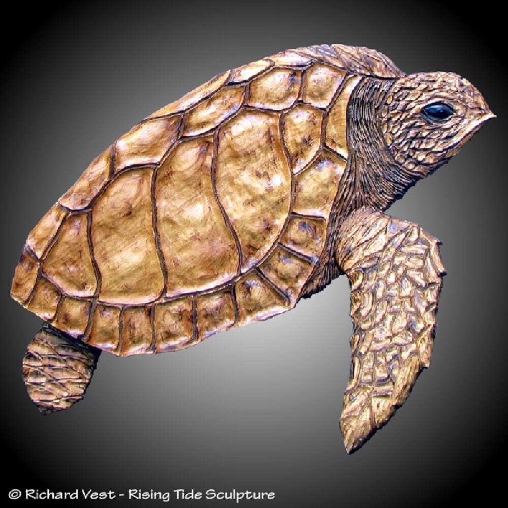 Adult Sea Turtle Wood Wall Sculpture, Hand Carved Alder, Tung Oil Finish, Home Or Office