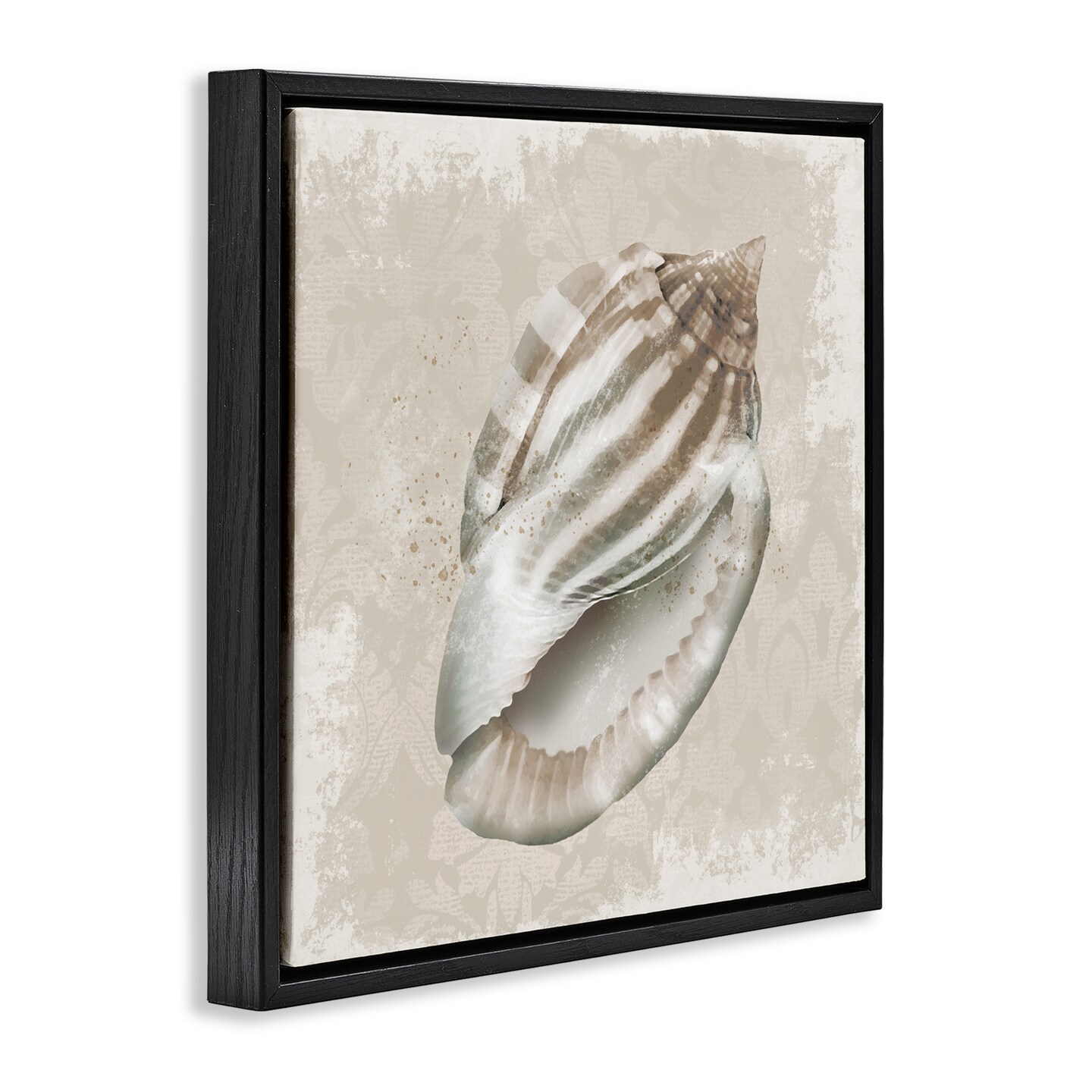 Stupell Industries Conch Shell over Vintage Pattern Floating Frame, design by Conrad Knutsen